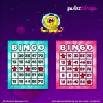 Pulsz Bingo