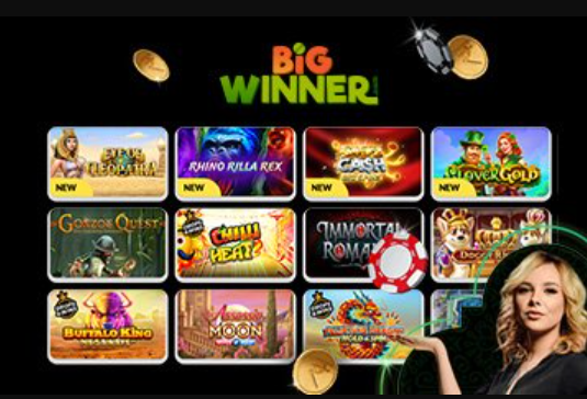 Big Winner Casino Login