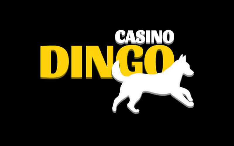 dingo casino