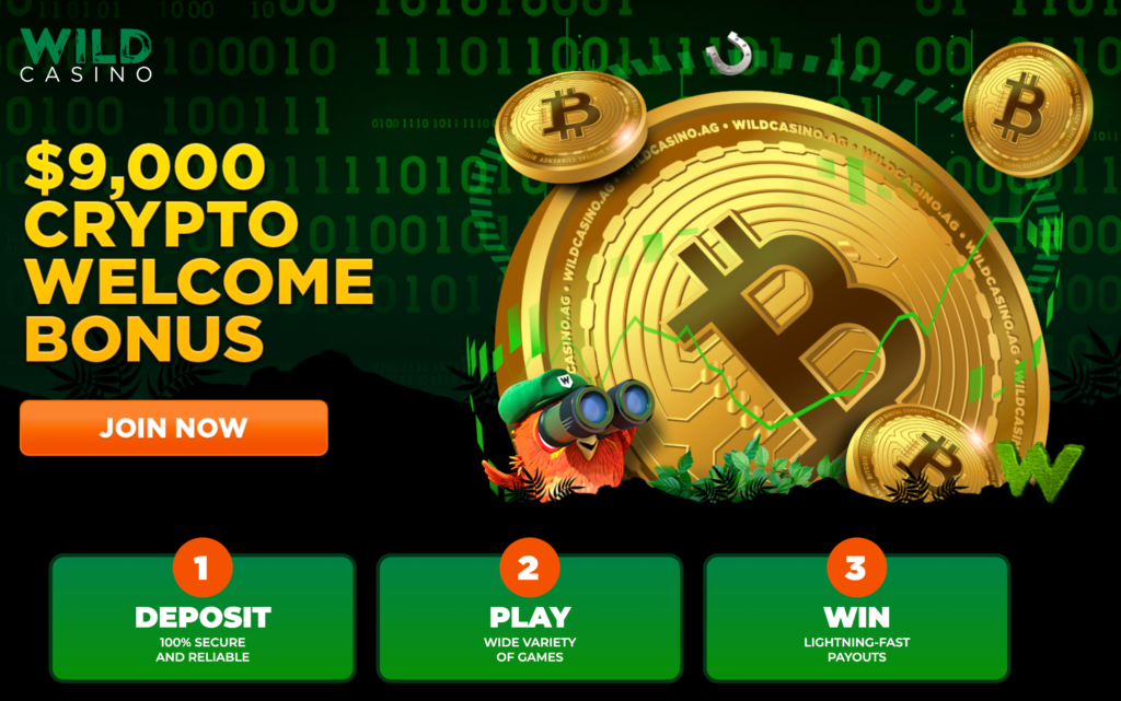 Wild Casino No Deposit Bonus Codes