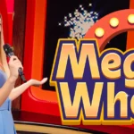 Mega Wheels Casino