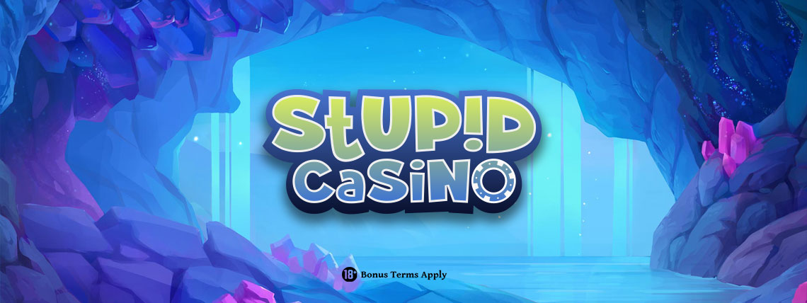 Stupid Casino