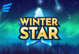 Winter Star