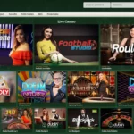 Dublinbet Casino App