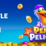 Penny Pelican