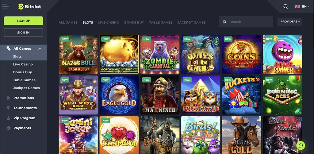 Bitslot Casino Review