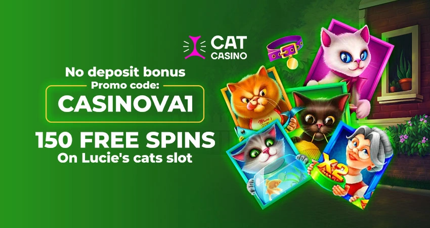 Cat Casino No Deposit Codes