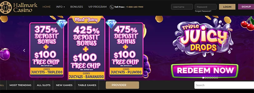 Hallmark Casino Bonus Code